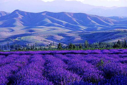 当我失恋了的时候该怎么办,我失恋了我很难过