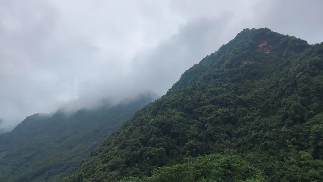 崇州山里新发现的天然景区,崇州的田园风光