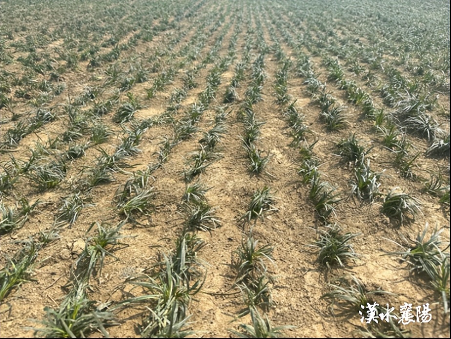 一个乡镇投资10个亿的项目,乡镇投资3个亿的项目