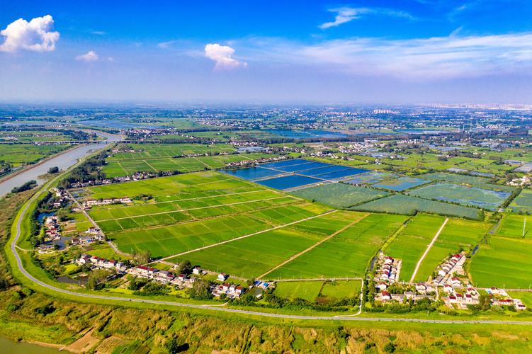 标准农田田间道路如何生态化设计,农田生态调节的具体途径