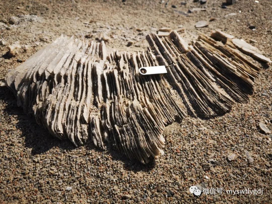 探索神奇的地方合集,探索神奇