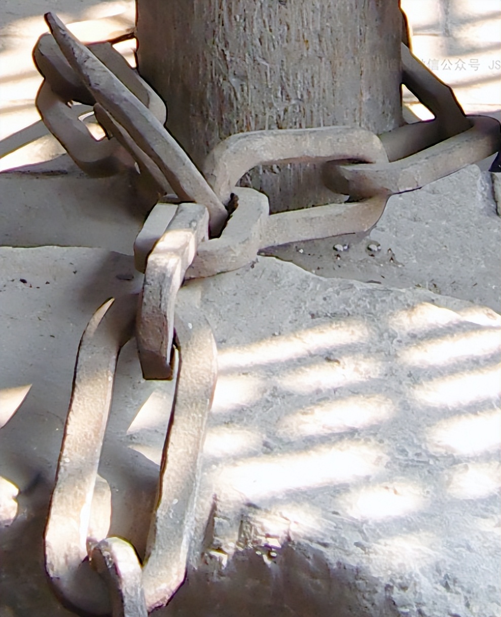 蛟龙的蛟是真的存在的吗,蛟龙发现什么生物