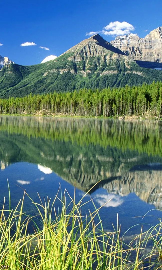 太美了100张人间美照,太美了最美中国红