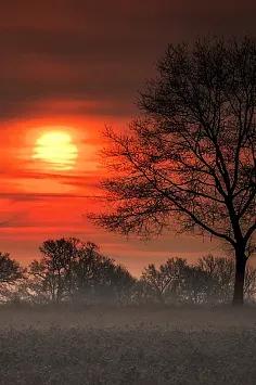 散文人到中年才明白活着有多不易,中年人生活感悟美文摘抄