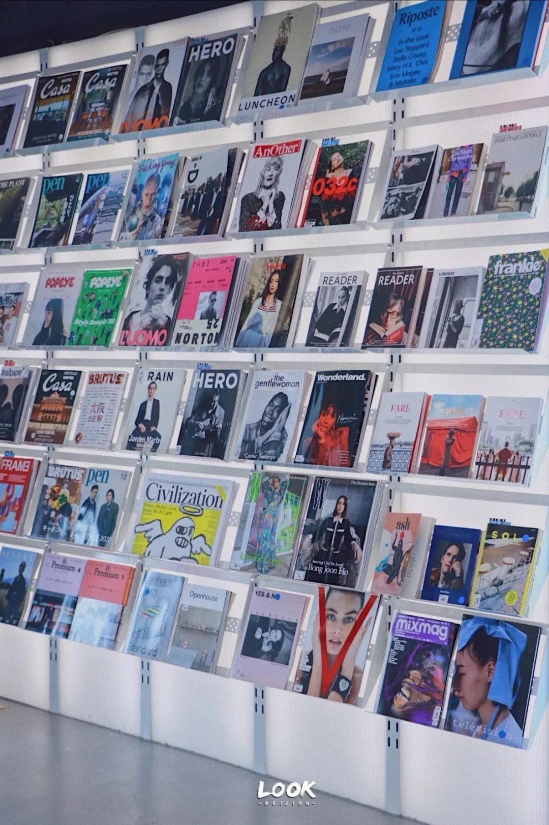 北京宠物友好咖啡店,北京宠物友好店