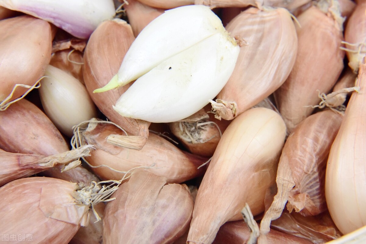 葱不用买有什么好方法,买小葱的正确方法