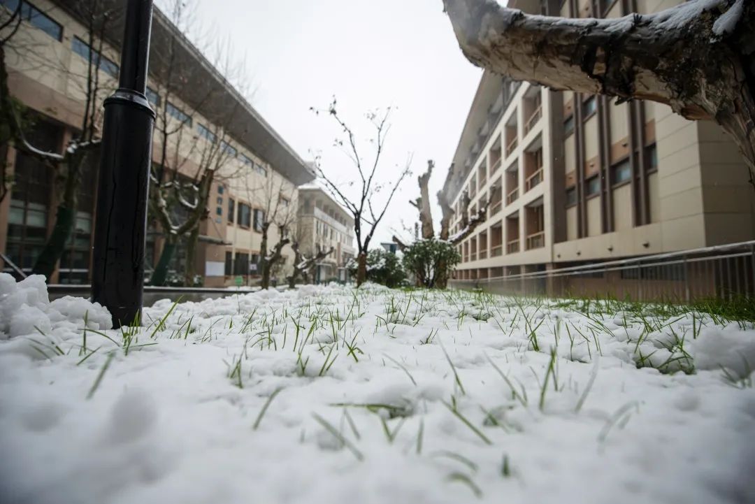 南京燕子矶中学特色,南京燕子矶中学在南京市排名