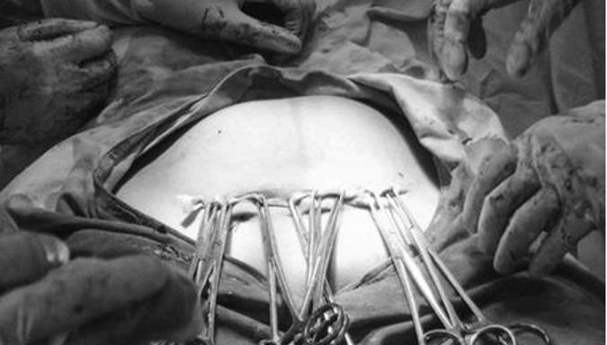 生命奇迹胎儿发育过程,生命的奇迹胎儿