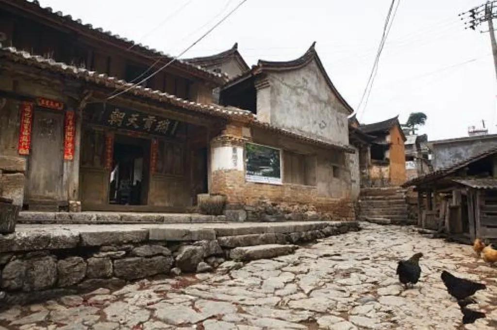 易武茶特点苦涩轻甜,普洱茶易武茶的特点