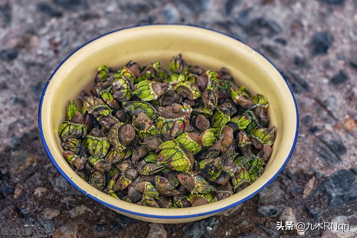 珠海东澳岛旅游攻略,珠海东澳岛旅游船票