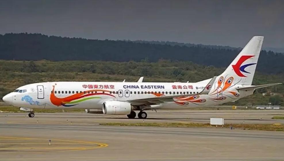 对东航mu5735飞机失事的看法,东航mu5735客机失事都找到了什么