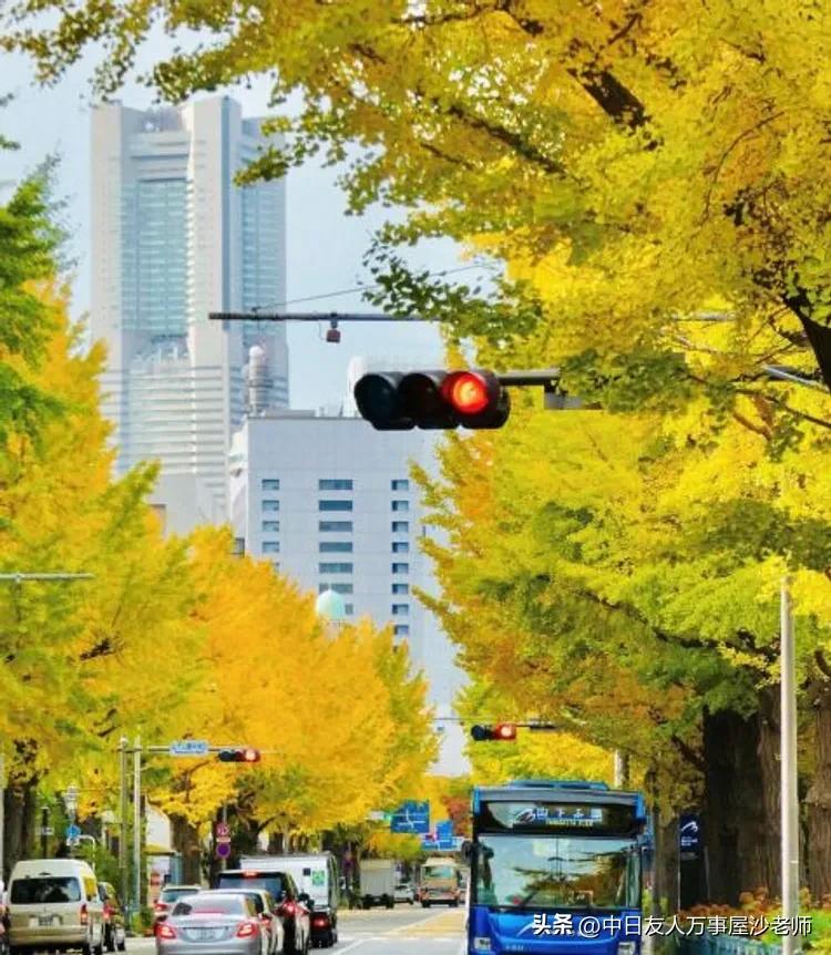 镰仓旅游拍照攻略大全图,横滨航拍全景