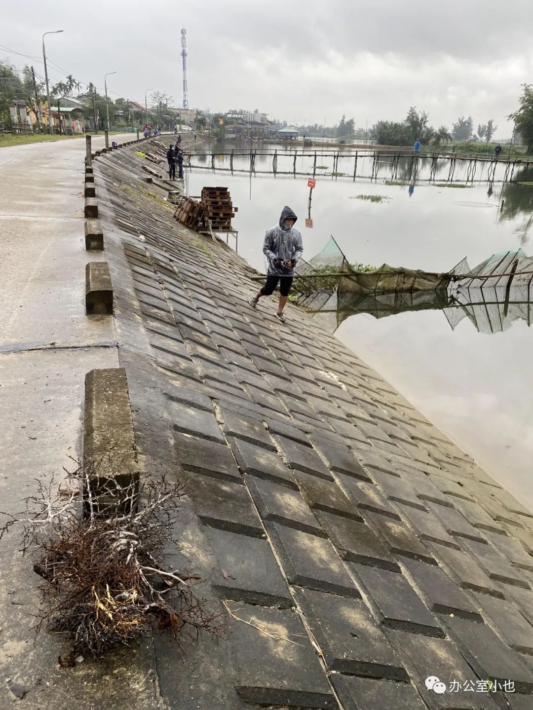 越南会安开车50km