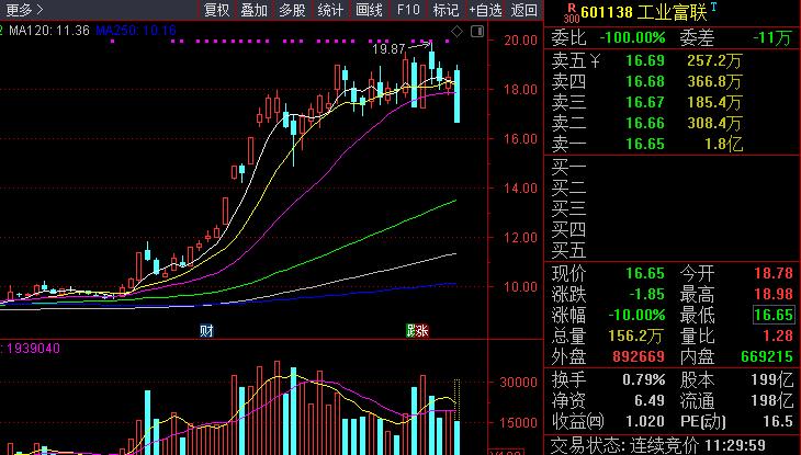 601138工业富联今日走势分析,蓝筹暴跌