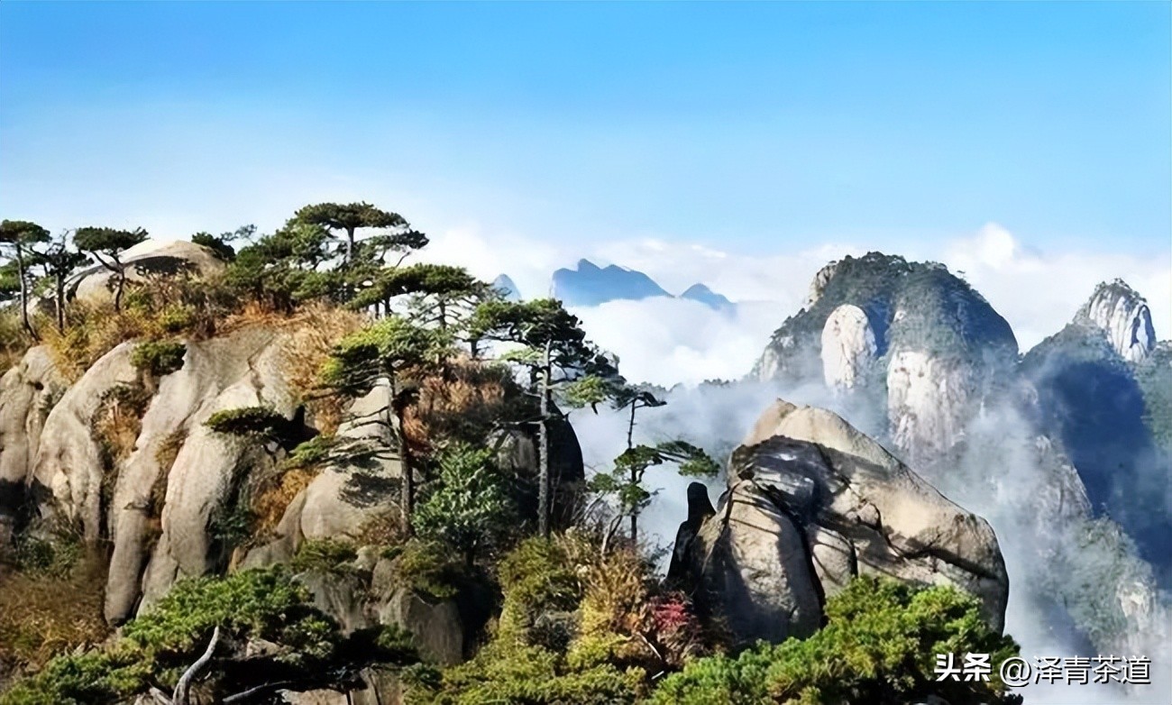 福建中国茶叶第一大省,中国茶叶排名第一省