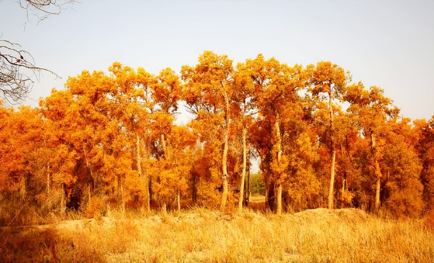 环游新疆15天,环游南疆8天攻略