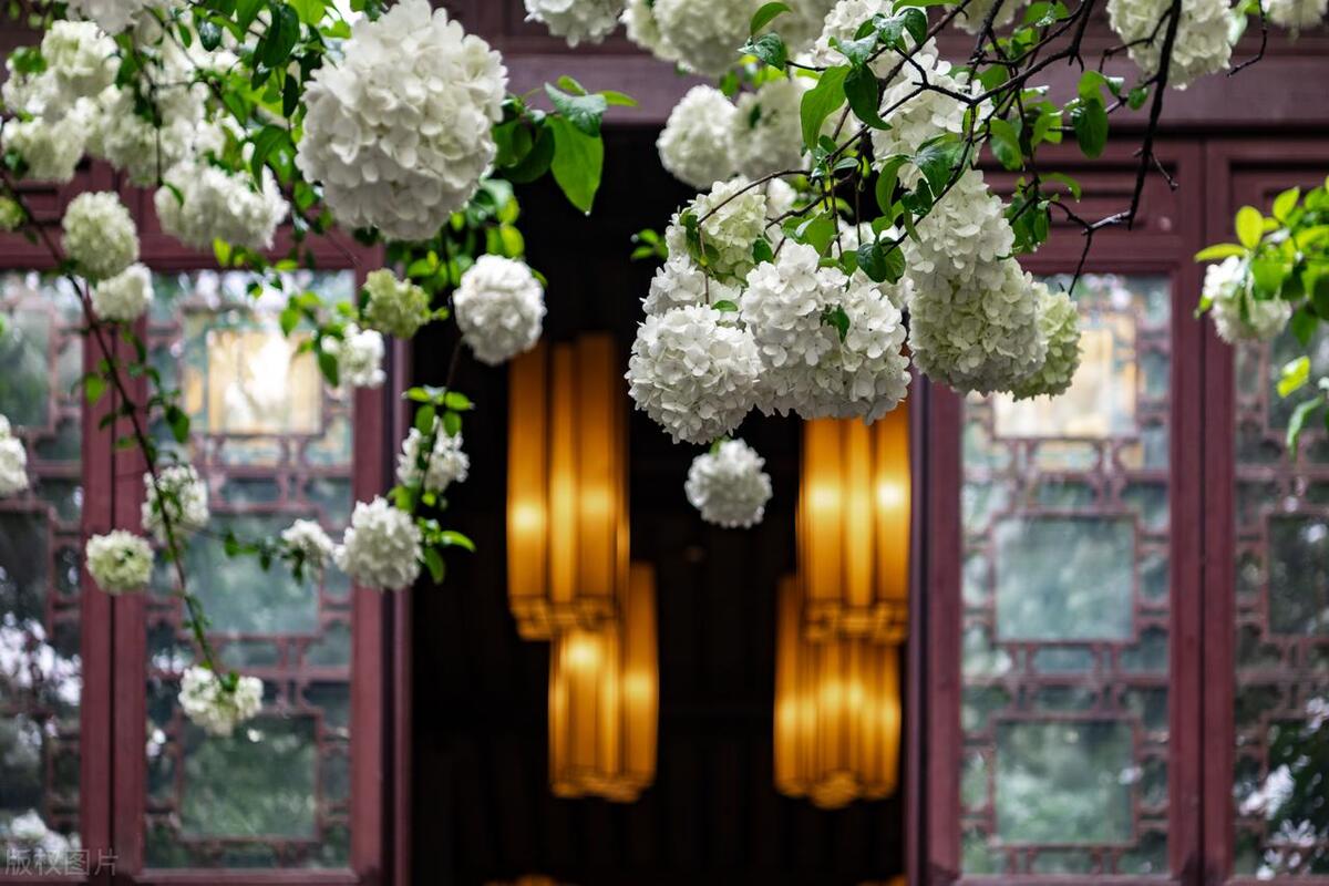 南京0门票逛景点攻略,南京旅游免费的必去的景点