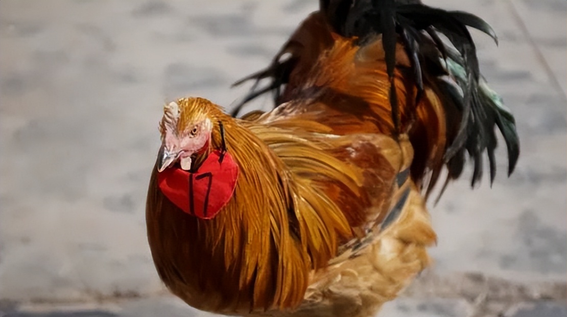 昭觉美姑,美姑路况