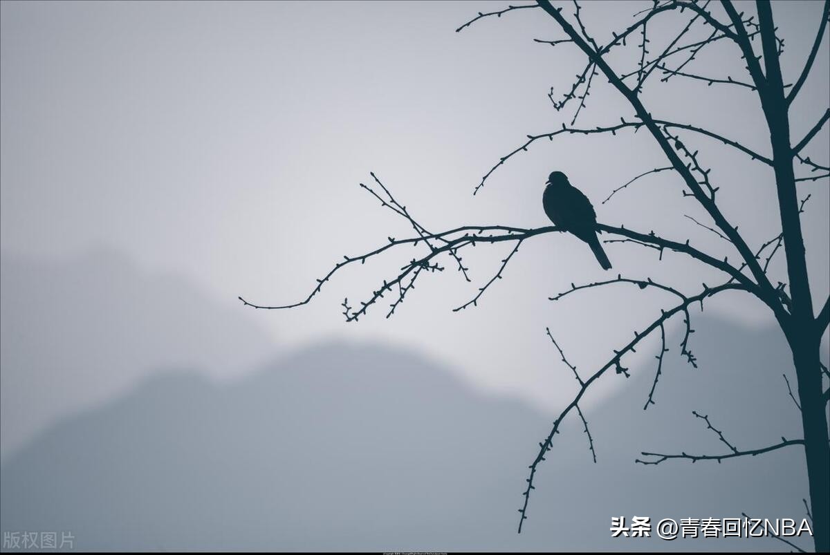 天净沙秋思马致远秋思的意思,天净沙秋思马致远哪里人