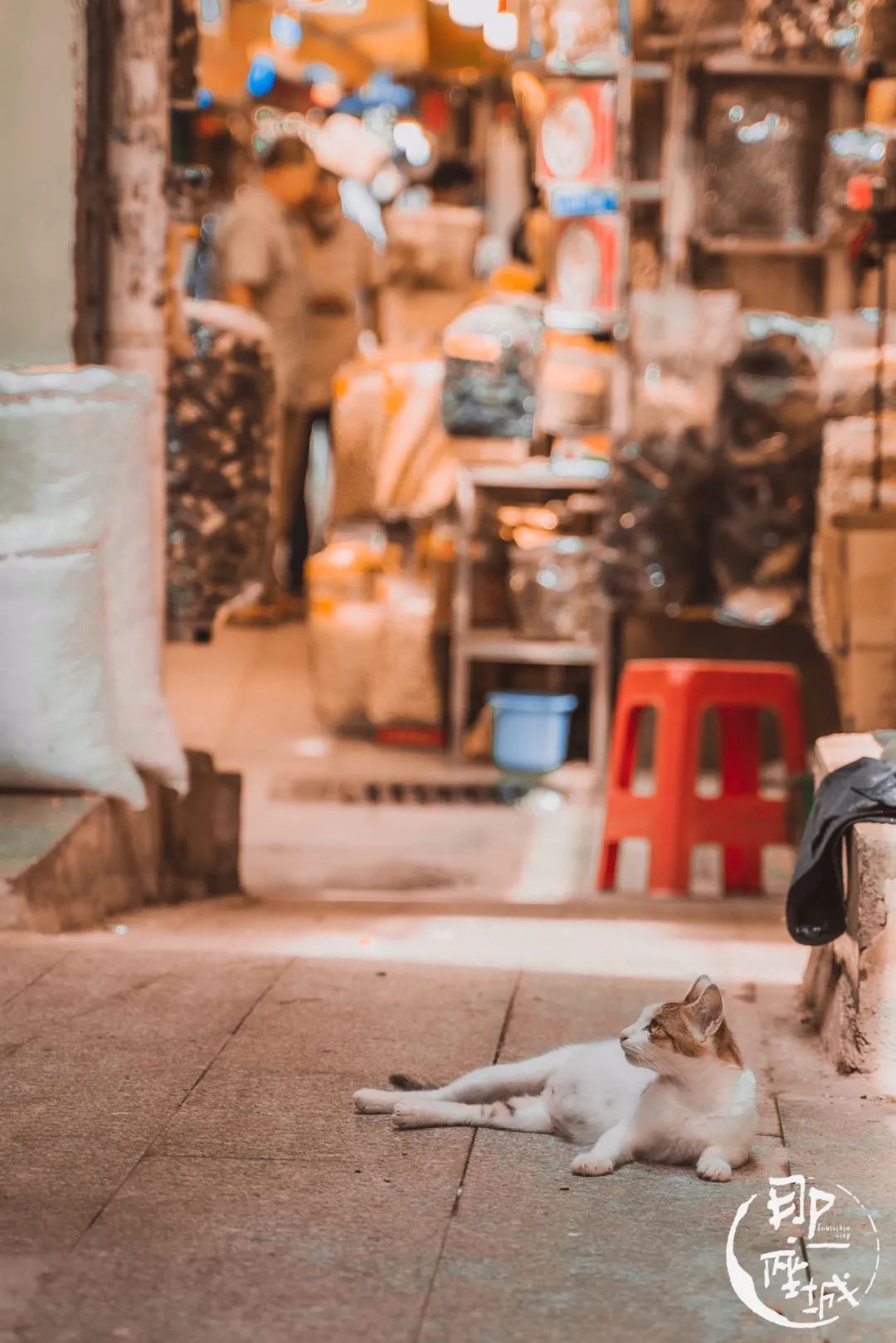 广州本草纲目化妆品,广州药典