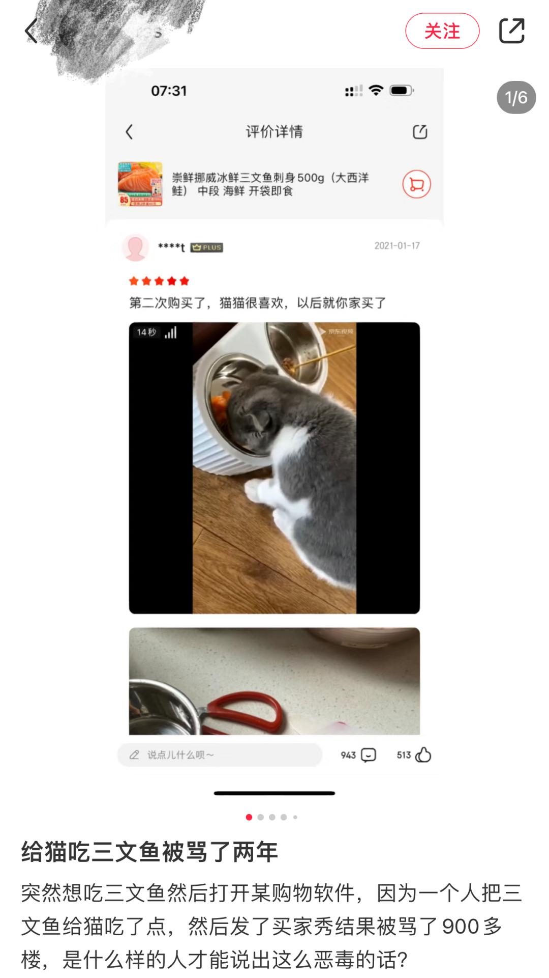 我在网店买三文鱼喂猫，结果被人网暴追骂两年，还造黄谣！