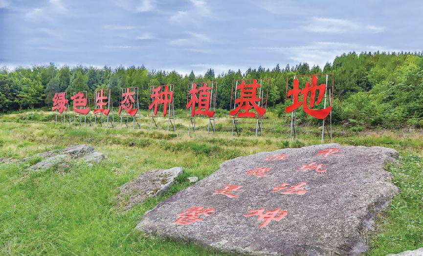 以“匠心”践行“初心”全面助力乡村振兴—记六三伍三总裁郎莹