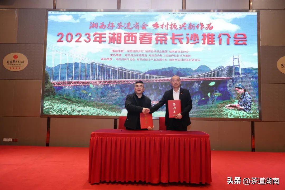 湖南长沙县春茶,2022湖南春茶总结