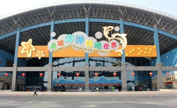 欧乐堡海洋极地公园攻略,欧乐堡最全游玩攻略请收好