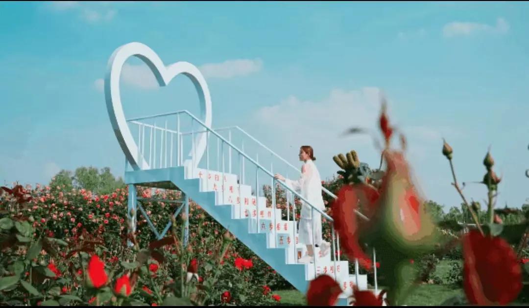 爱在鸠兹芜湖文旅优惠券,安徽芜湖爱在鸠兹文旅消费季