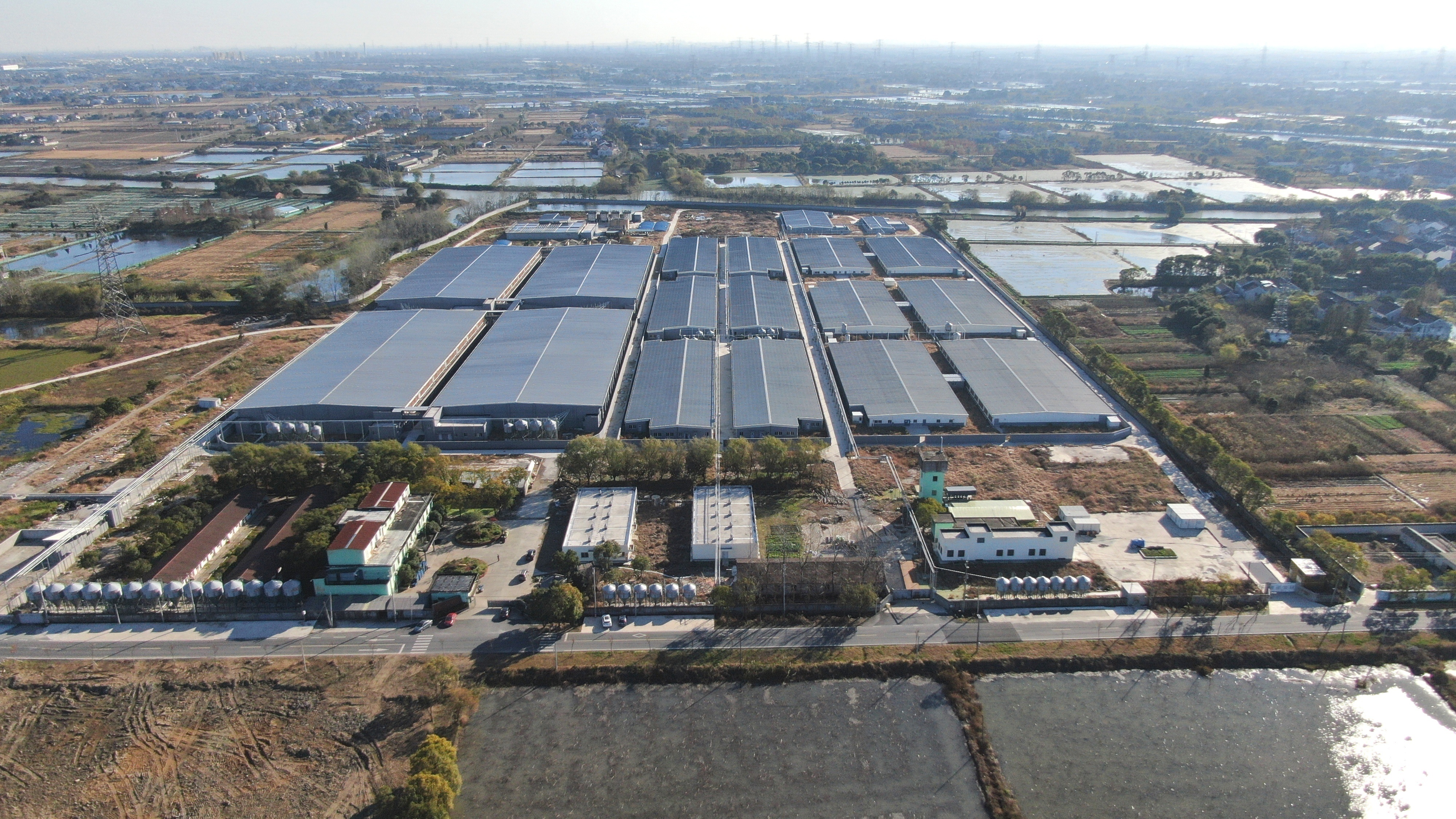 龙头企业拉动产业发展,龙头企业带动配套产业提质增效