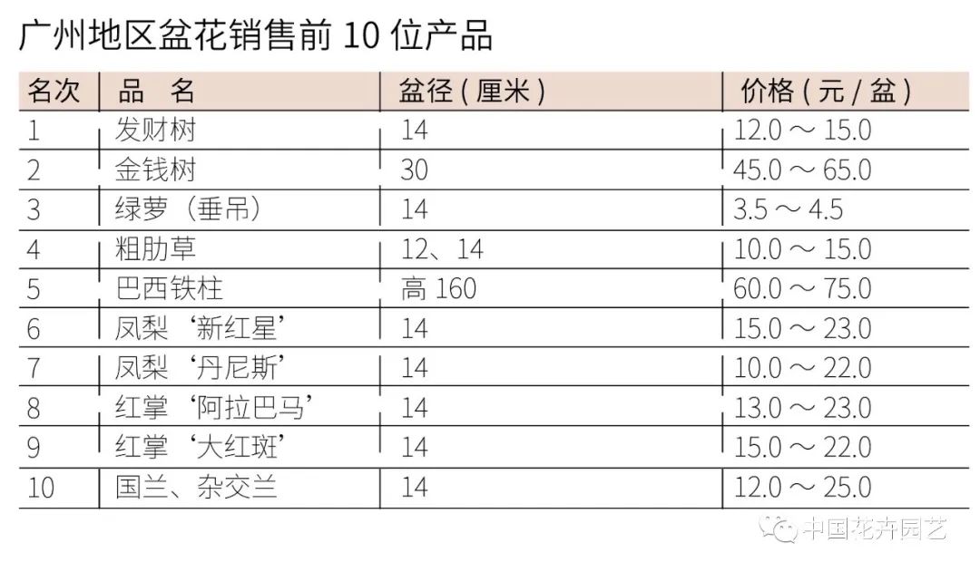 盆花批发价格暴跌,4月份花价预测