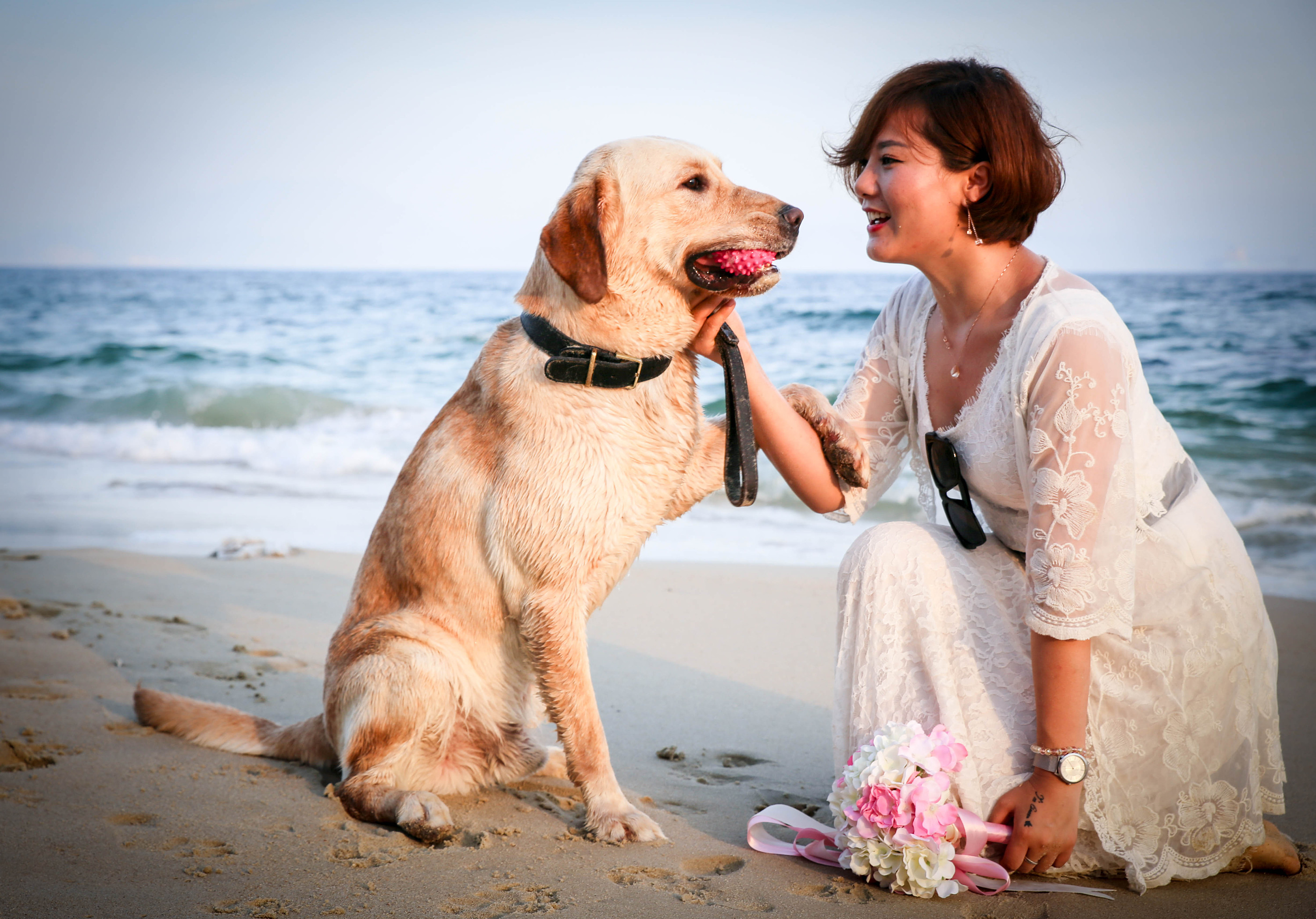 1998年美国温顺杂交犬咬死女主人,1998年温顺杂交犬将主人折磨致死