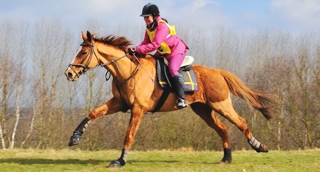 谈谈越野车,谈谈骑越野摩托感受