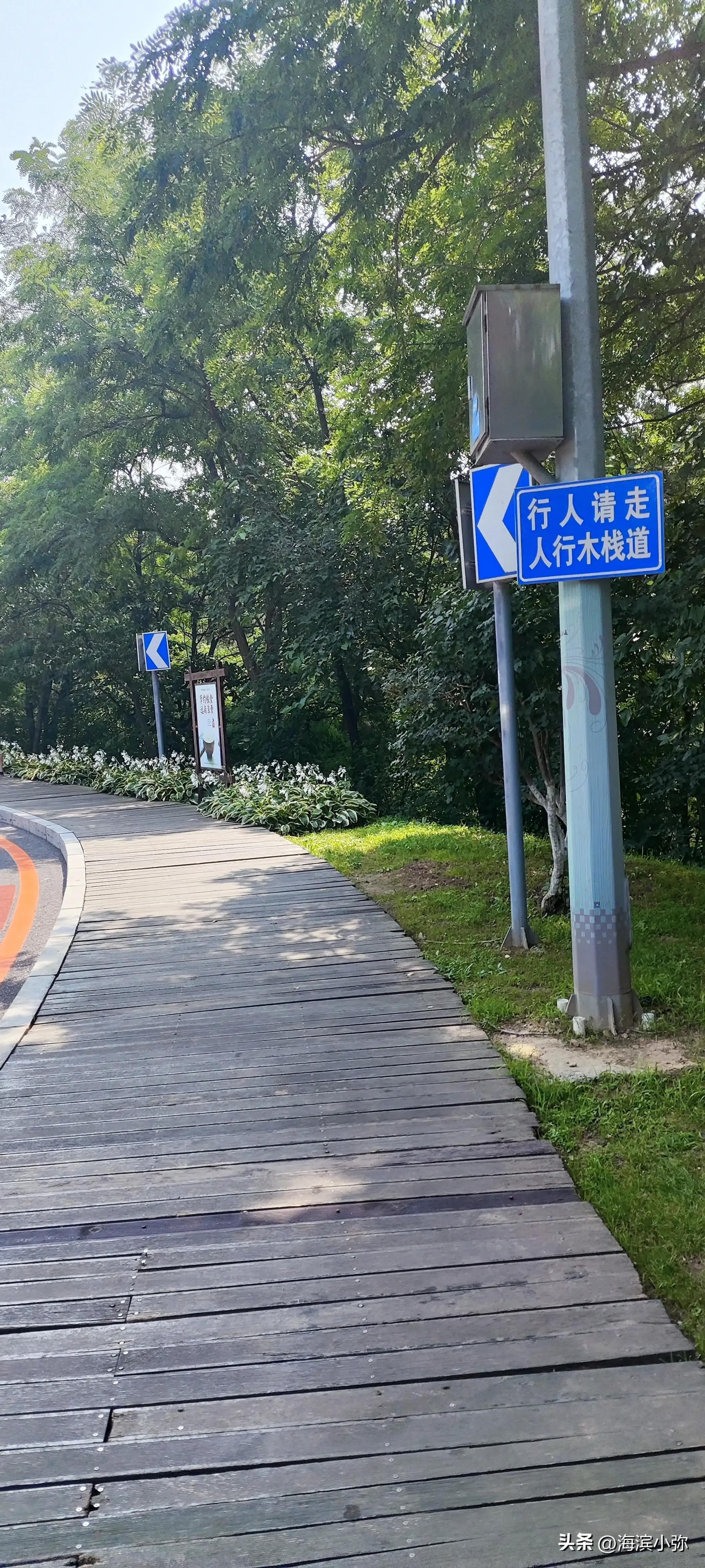 海滨徒步路线感受,滨海路徒步视频