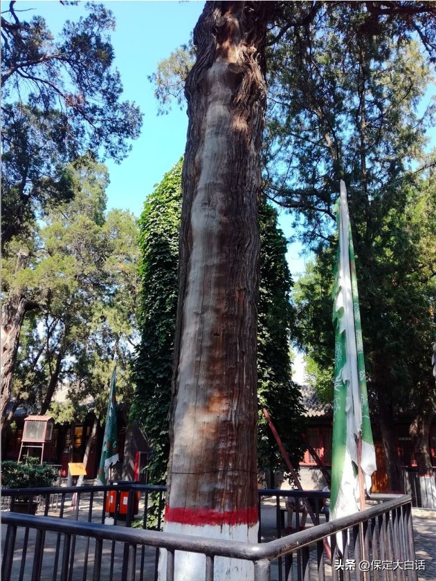 大白话说古城1—直隶总督署之猫头鹰的传说