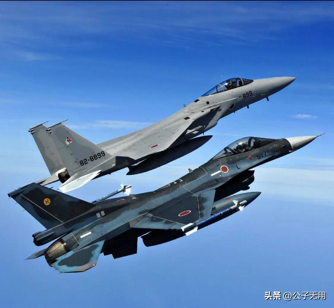 战斗机排名世界前10的各国空军：只论数量，不谈质量