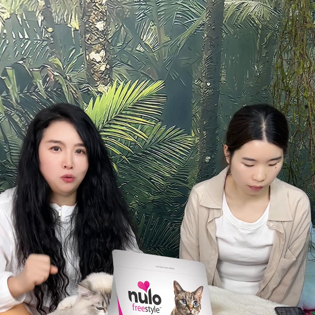 不知道品种怎么买猫粮,不知道选什么奶粉