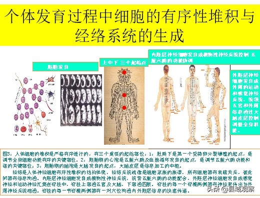 生命守护者人民的健康卫士,生命健康的守护者