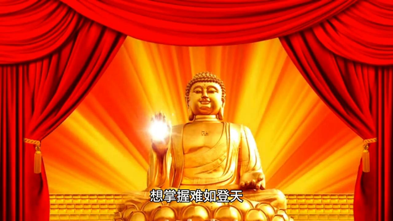 dou+小助手直播官方账号直播间,dou+小助手上热门