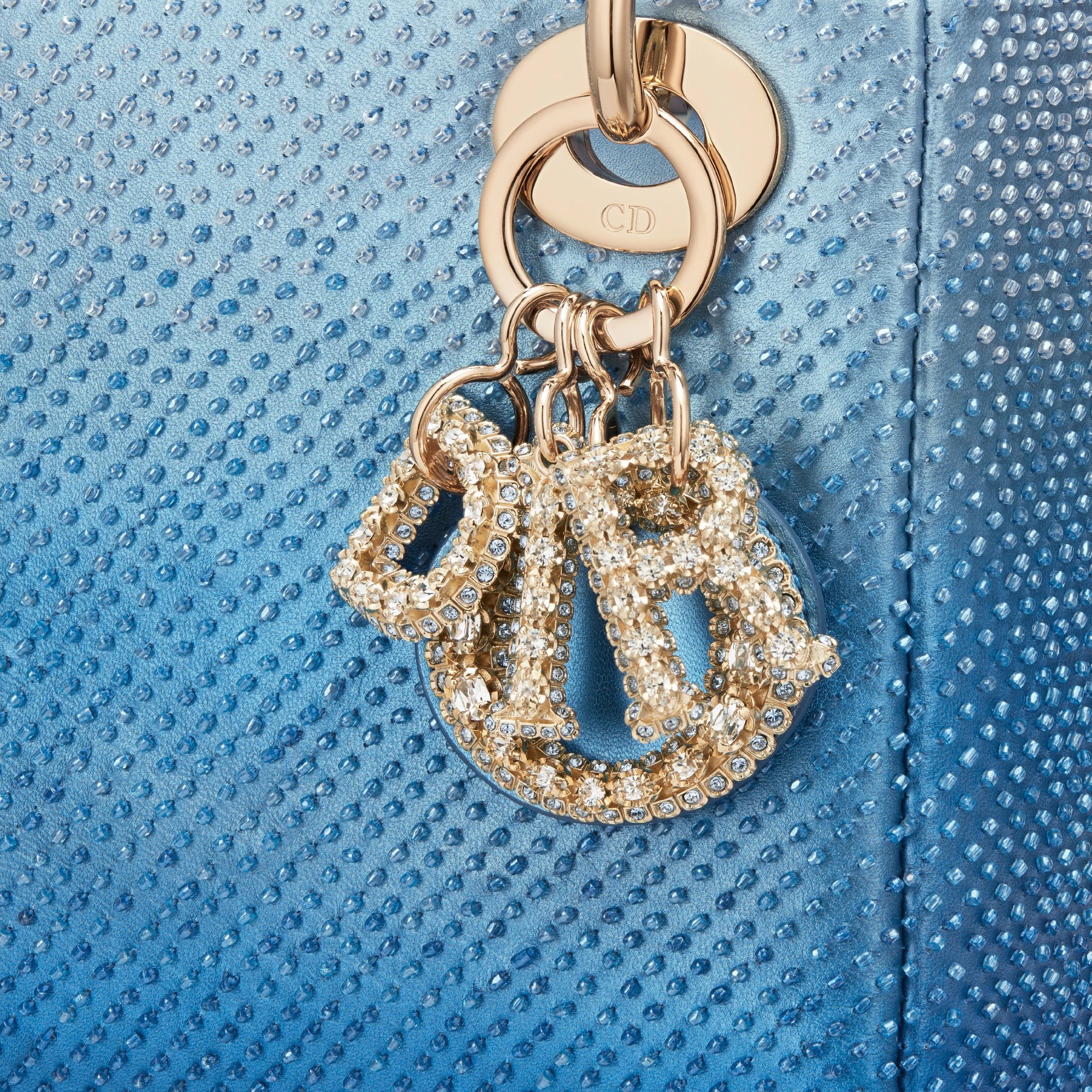 Dior刺绣包包,dior刺绣豹纹戴妃包