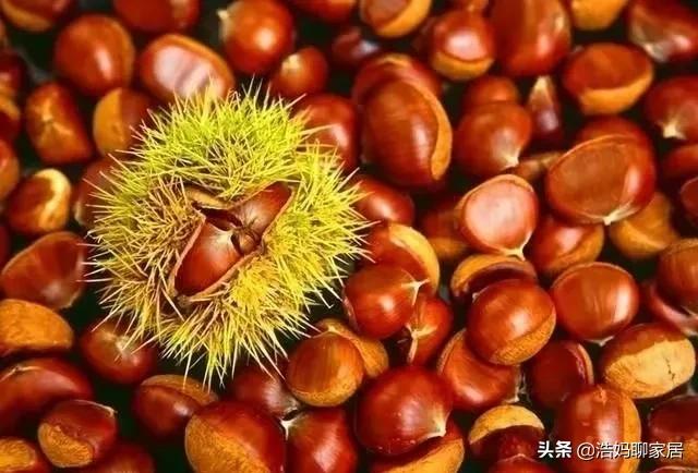 目前最实用的微波炉,微波炉你不知道的功能