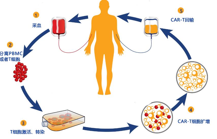 290元抗癌新药在哪里卖,中国抗癌新药最新消息