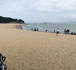 厦门必打卡10大景点推荐,厦门旅游景点必去十大景点自由行