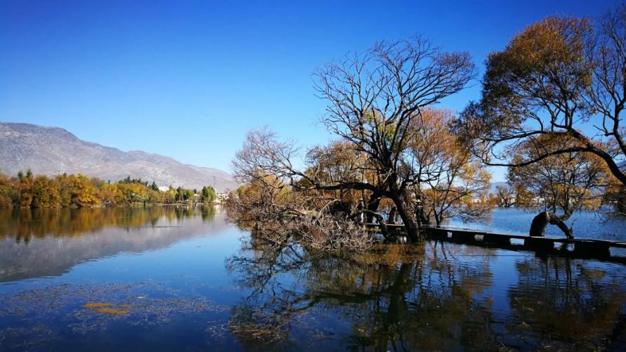 云南旅游少了什么景点,云南旅游的火爆程度