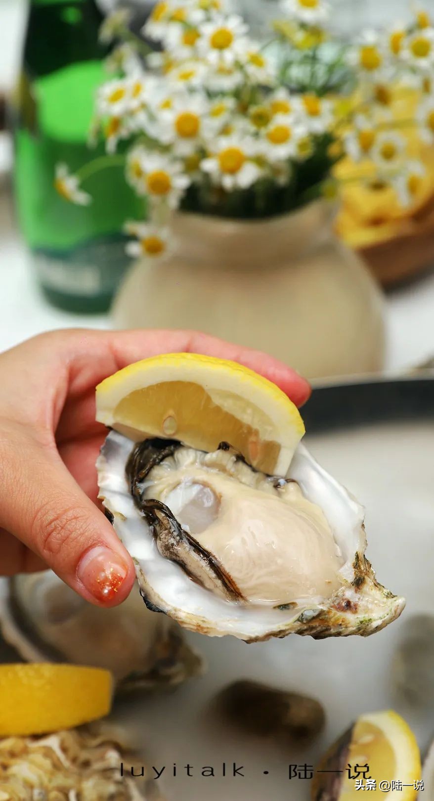 花3500元到牛排馆刷菜单,澳洲、美洲、欧洲,龙虾,蛏王,和牛