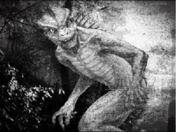 地球真存在蜥蜴人吗,蜥蜴人是不是真的生活在地球上