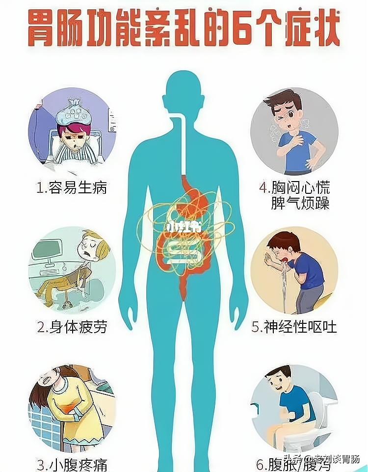 肠道健康问题一看便知,胃肠检查一问一答