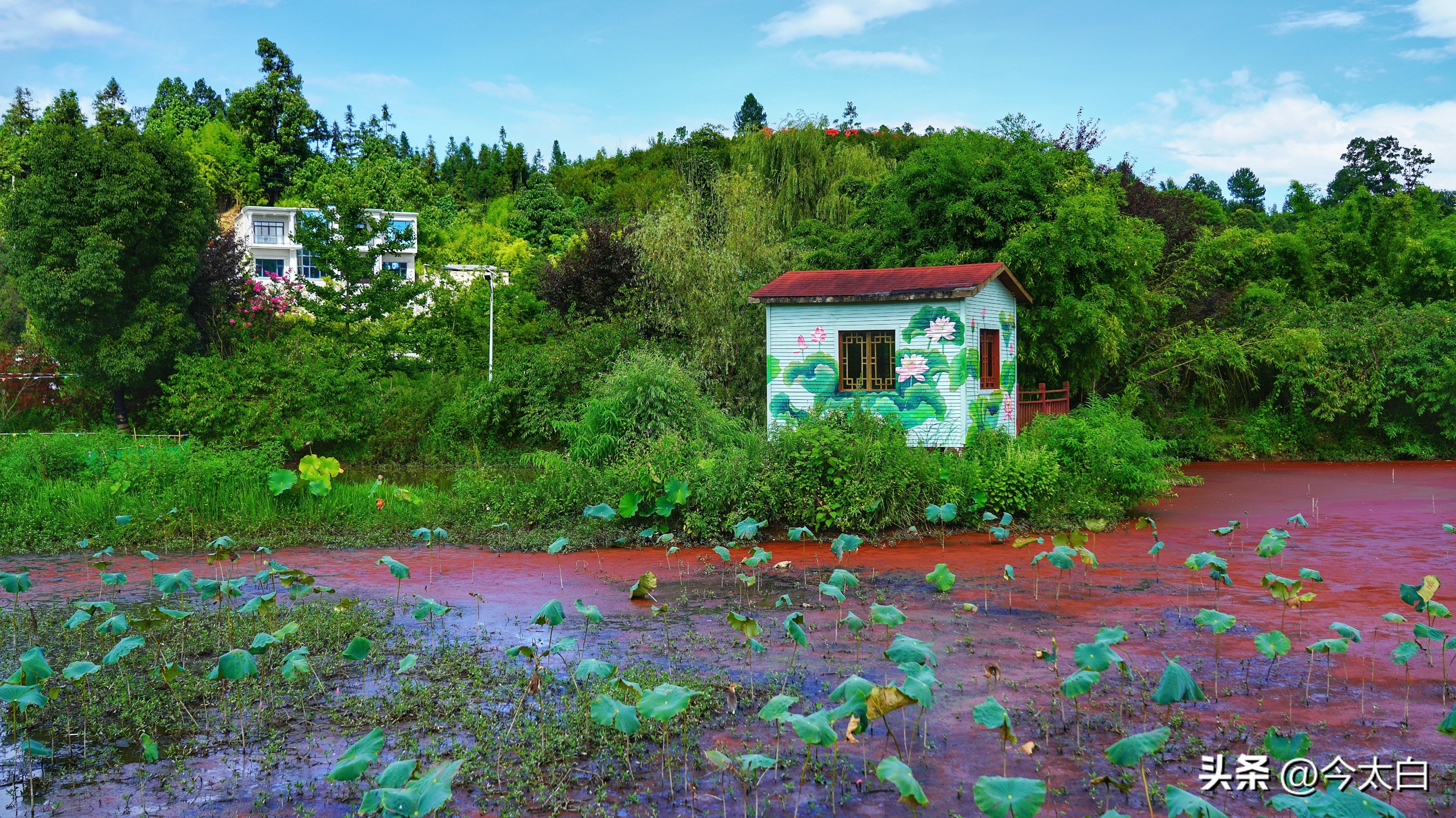 比黄果树瀑布还高8米,比黄果树还高6倍的瀑布