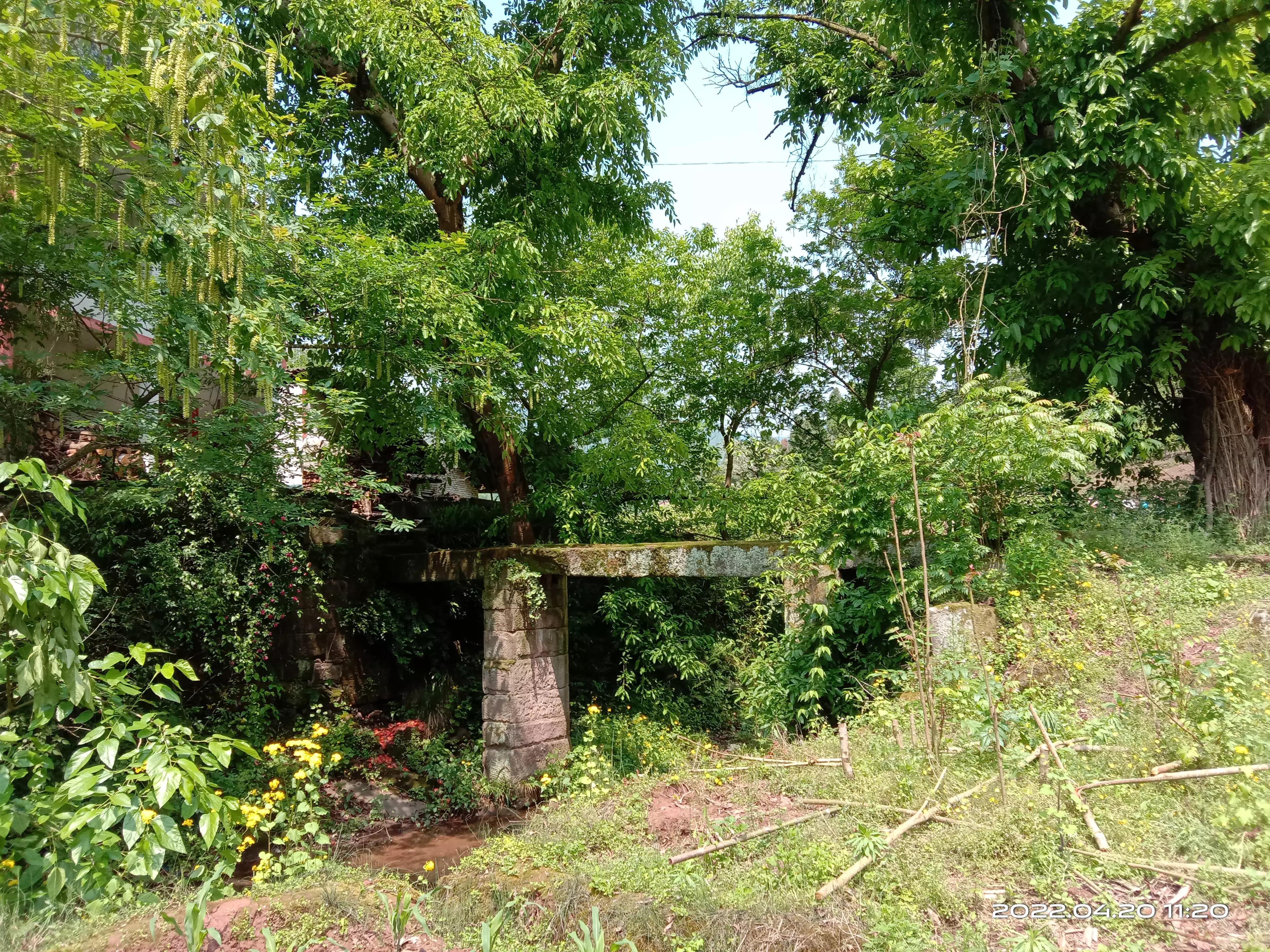 丰都鬼王摩崖石刻怎么走,丰都鬼王山徒步