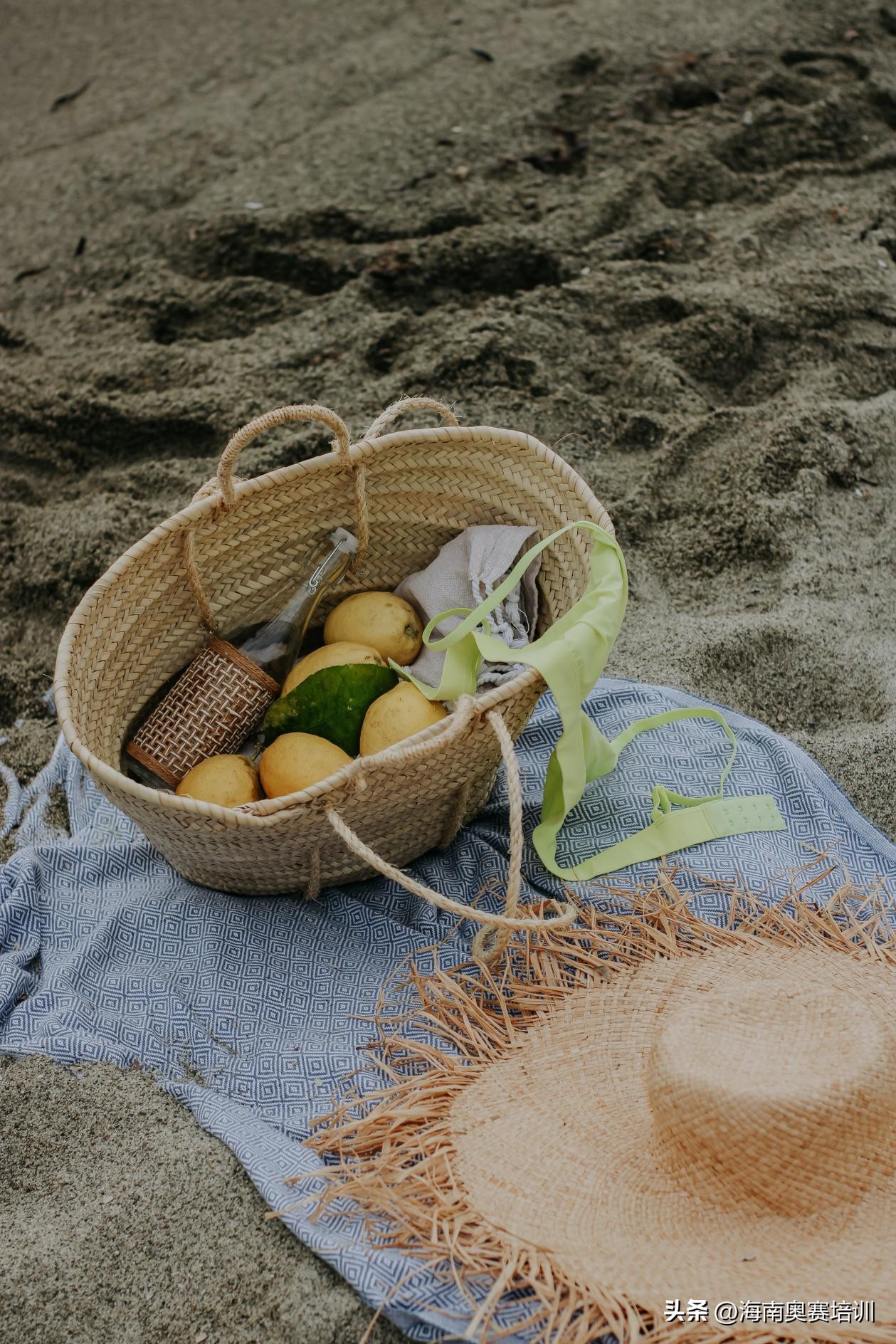 海口经济学院专升本都考什么科目,海口经济学院专升本专业名单